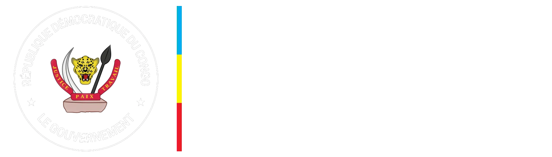 Logo Min Emploi rDC